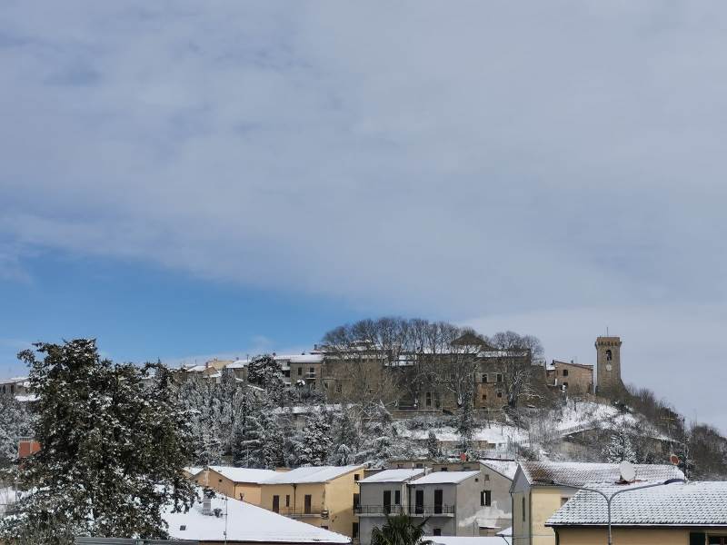 Celle sul Rigo neve 13 febbraio 2021 - ore 12
