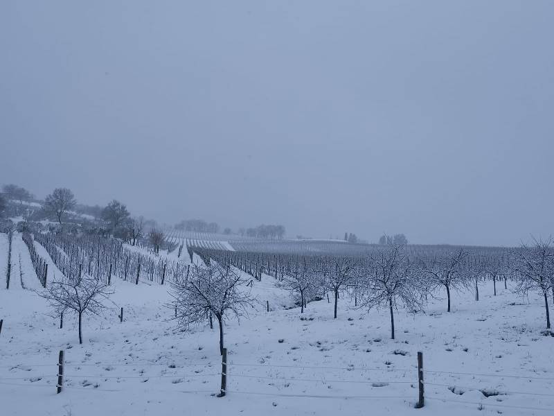 San Casciano dei Bagni - neve 13 febbraio 2021