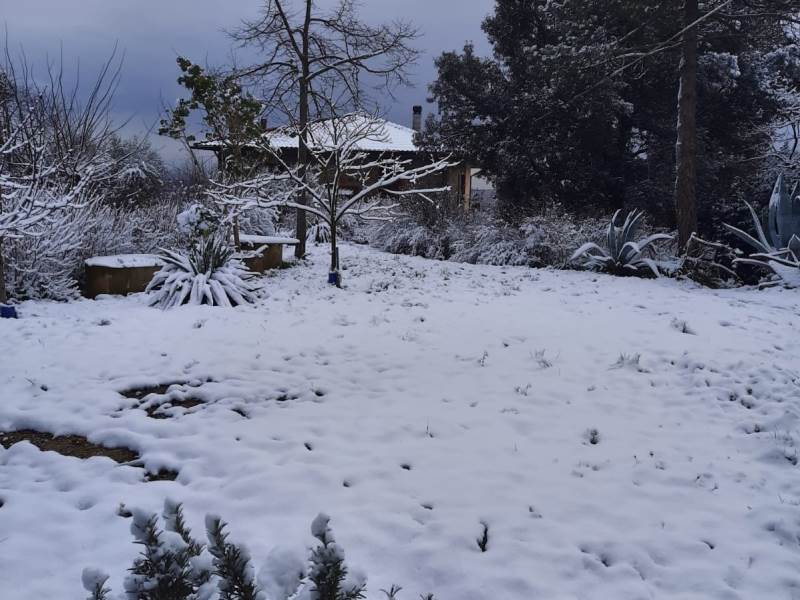Sinalunga - campagna neve 13 febbraio 2021
