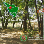 Nel Cuore della Toscana