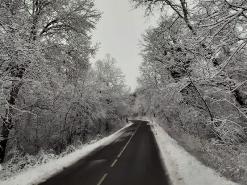 thumbnail_Trequanda - strada Macchiaie verso Sinalunga