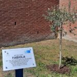 infermiera fabiola pratali