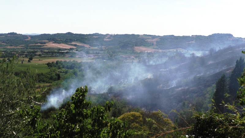incendio_empoli_monterappoli_2021_08_03__3