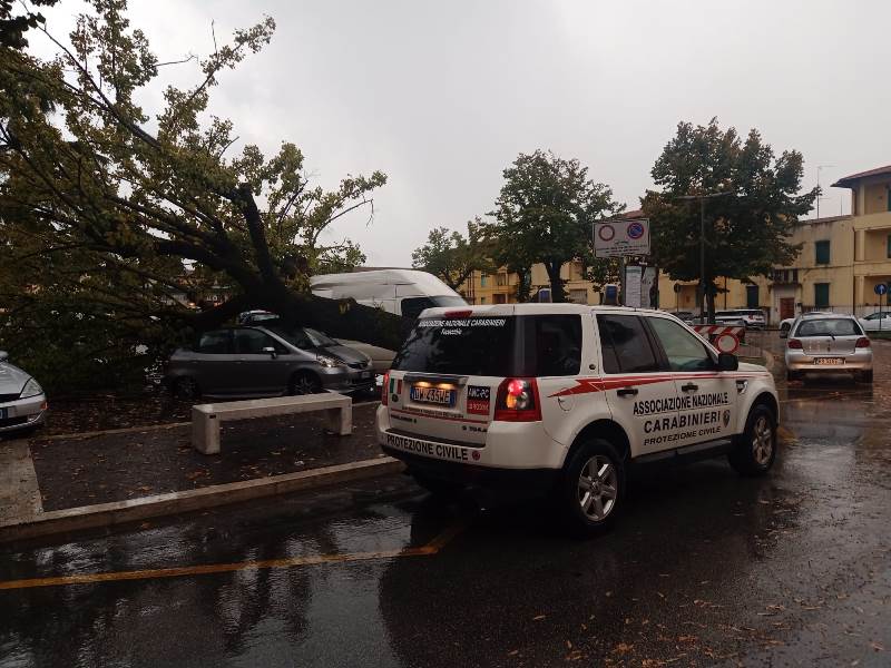 albero caduto piazza xx settembre fucecchio
