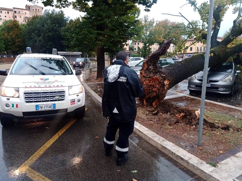 albero caduto piazza xx settembre fucecchio5