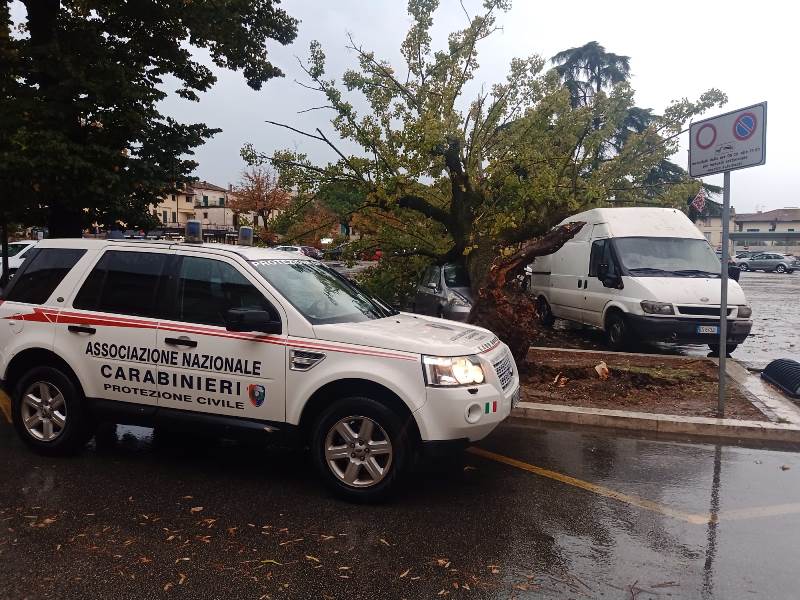 albero caduto piazza xx settembre fucecchio8