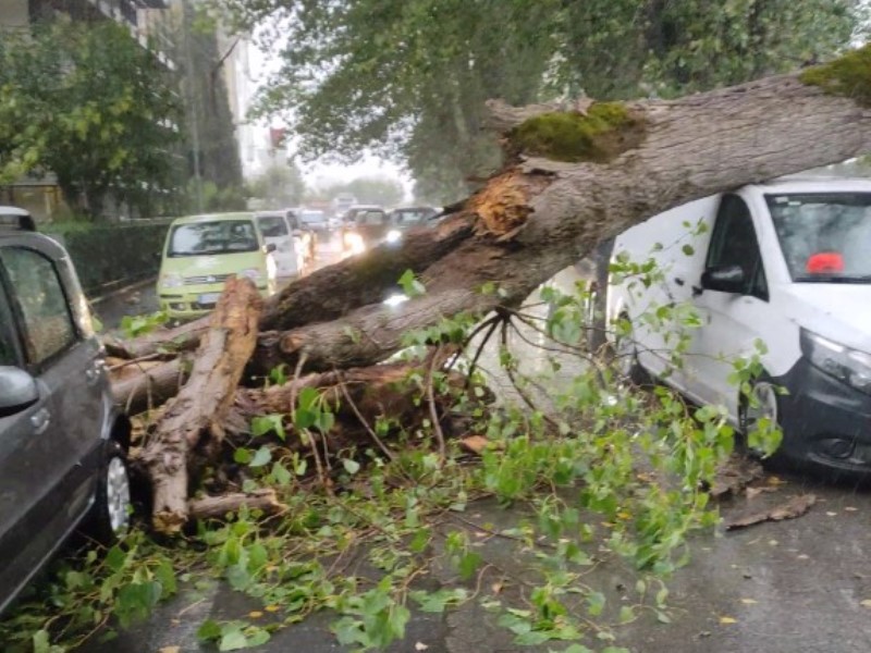 via di vittorio cade albero fucecchio