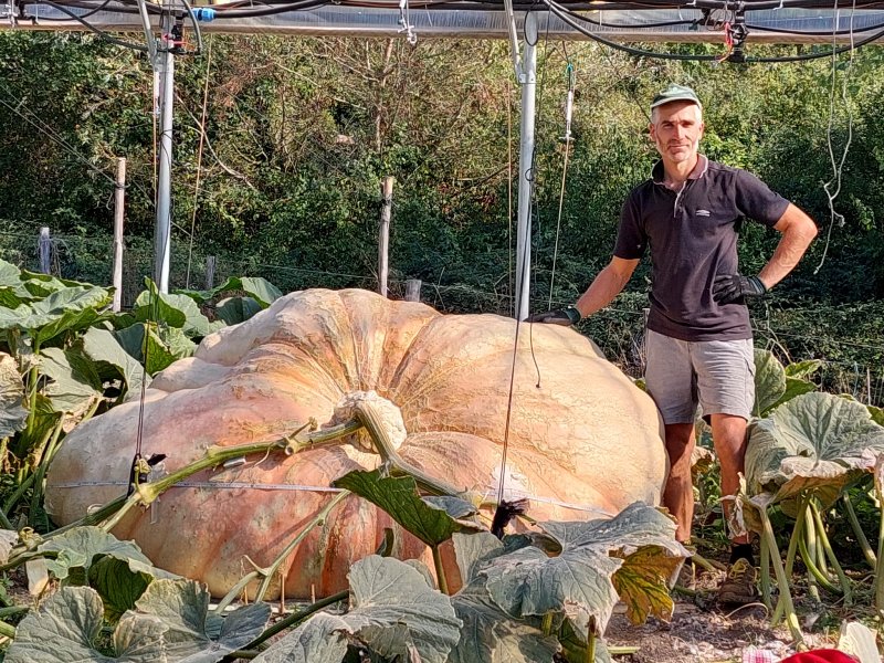 zucca record mondiale