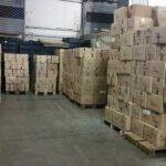 colletta alimentare pisa