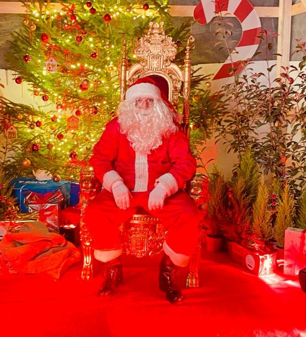 pinocchio_sotto_albero_2021_1