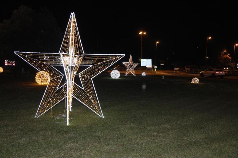 pinocchio_sotto_albero_2021_18