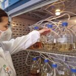 abiti biodegradabili