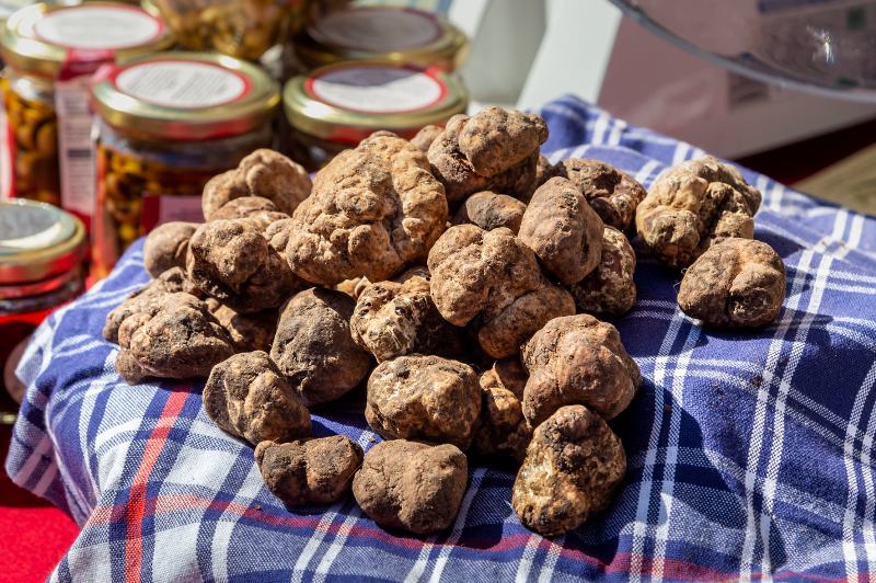tartufo generico