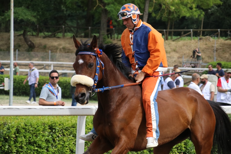 Palio_Fucecchio_maggio_2022__15
