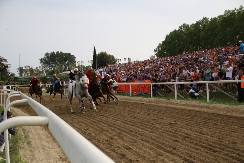 Palio_Fucecchio_maggio_2022__4
