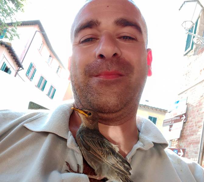 Storno_Palaia_2022__2