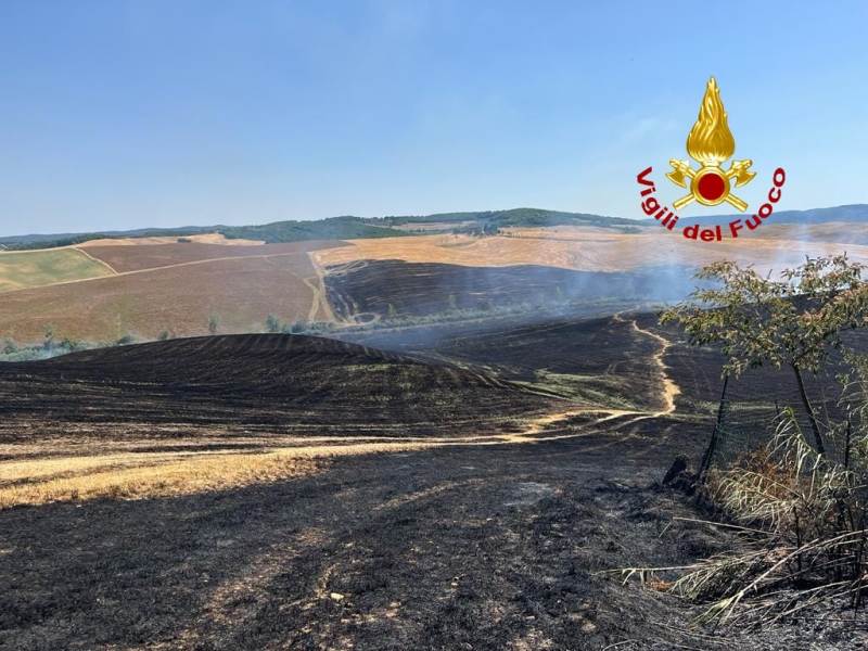 Grosso incendio nel Senese, campi di grano in fiamme a Monteroni d'Arbia