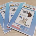 enigmistica gonews 2022