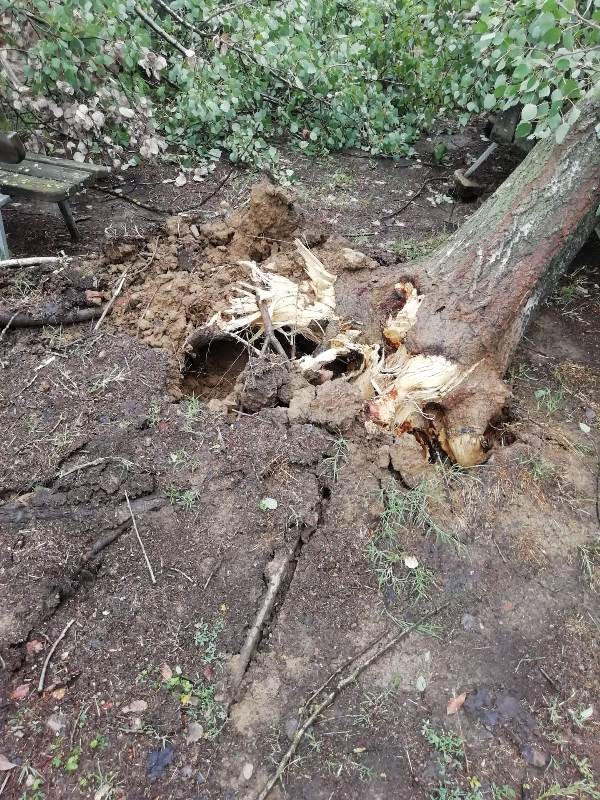 Maltempo 18 agosto 2022_figline1