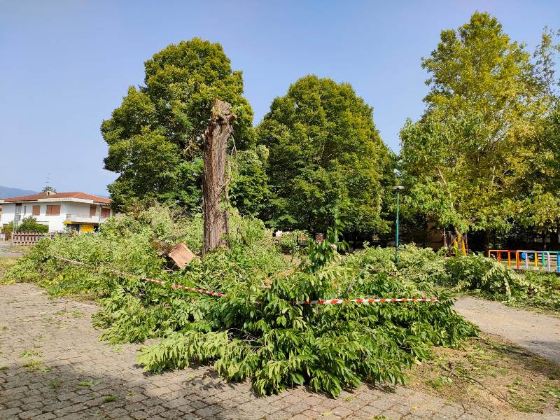 Maltempo 18 agosto 2022_figline2