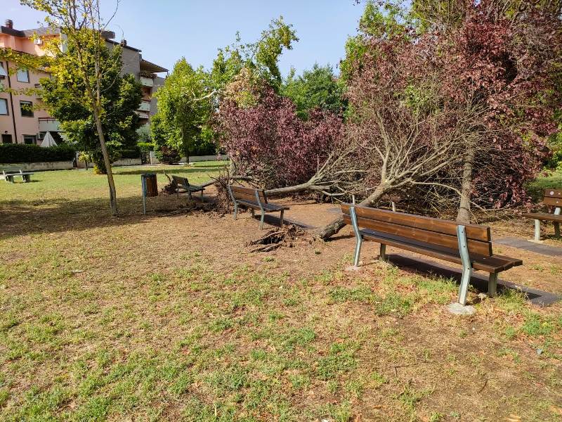 Maltempo 18 agosto 2022_figline3