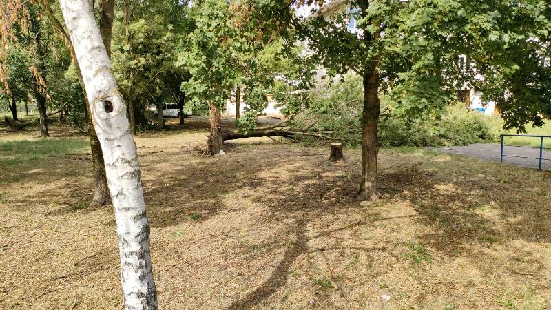 Maltempo 18 agosto 2022_figline4