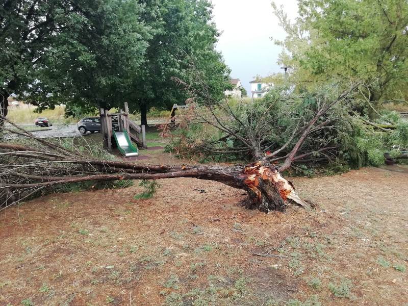 Maltempo 18 agosto 2022_figline7