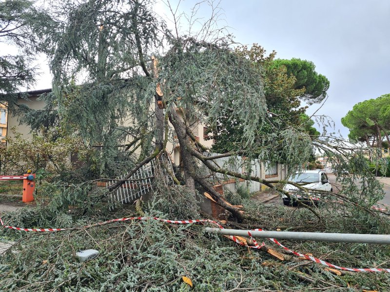 maltempo-san_miniato_2022_08_18__4