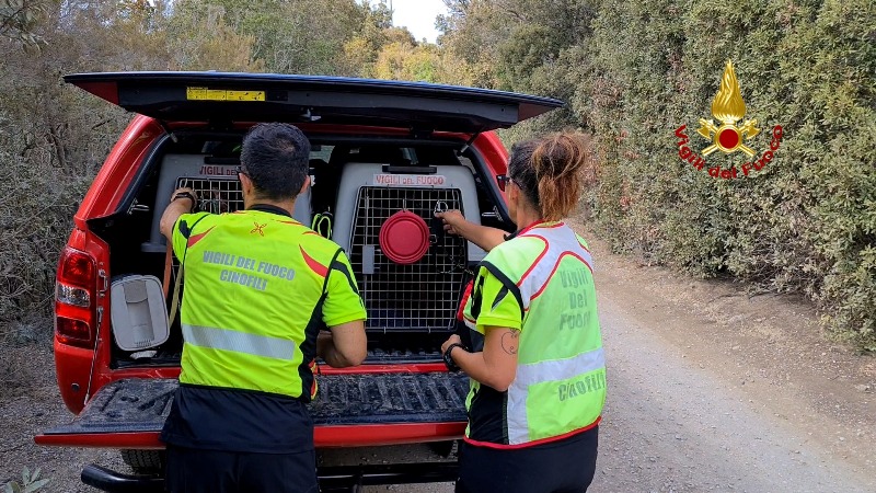 ricerche_drone_vigili_fuoco_cinofili_elba_4