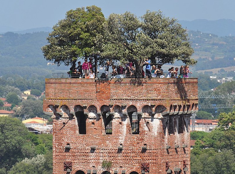 torre guinigi