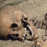 Teschio umano (foto di repertorio)