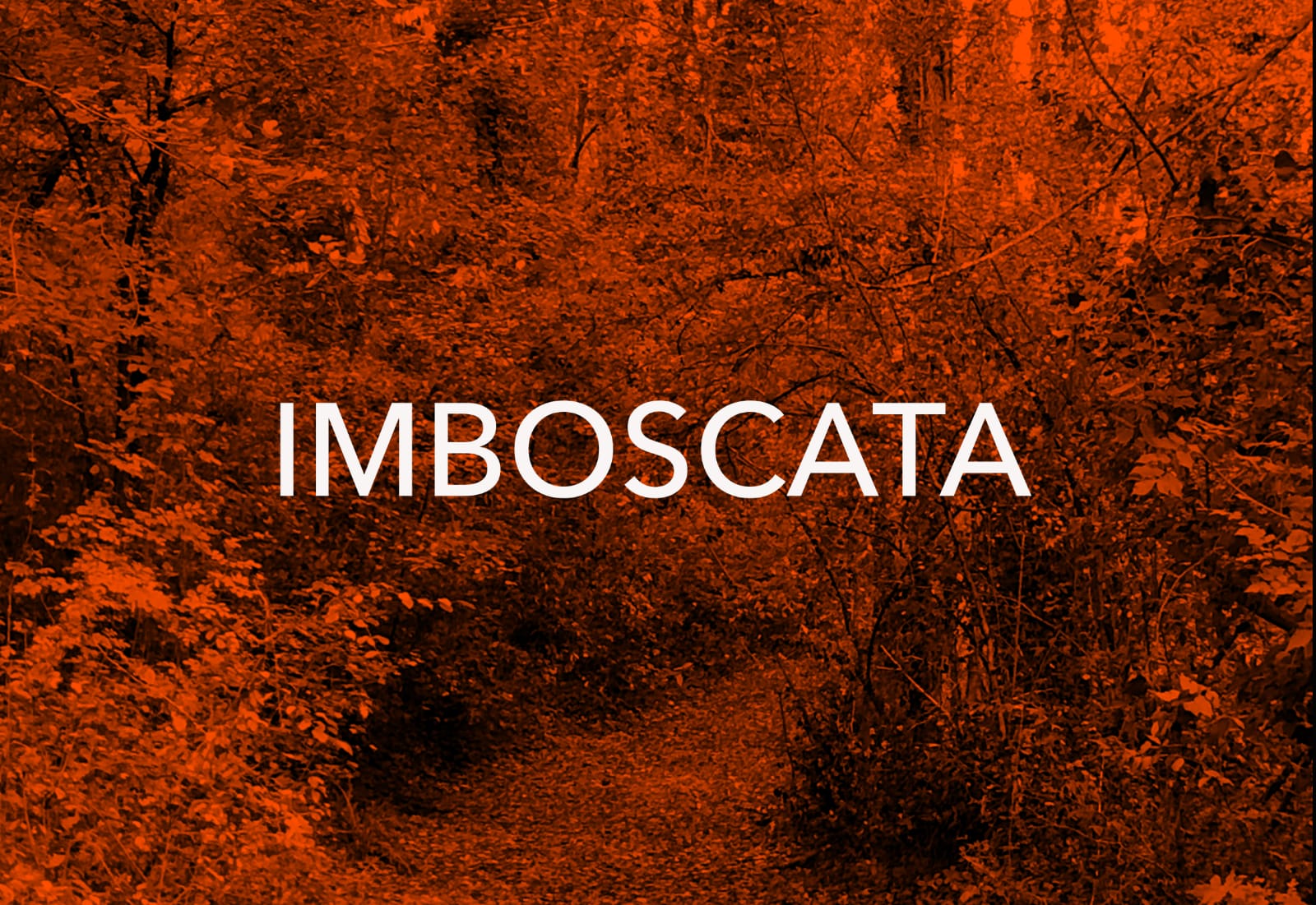 Torna Imboscata, l'arte internazionale nel verde di Corniola