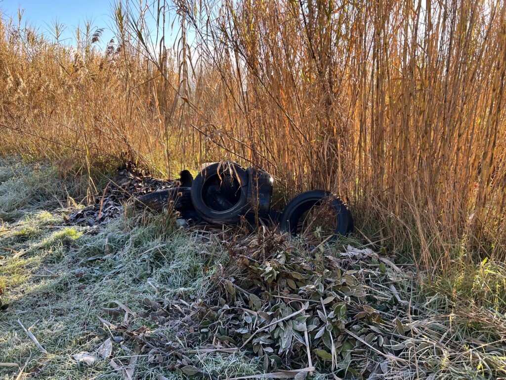 discarica_san_donato_san_miniato (12)