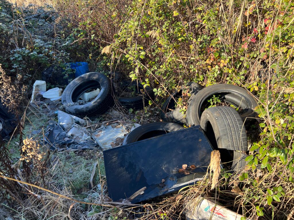 discarica_san_donato_san_miniato (9)