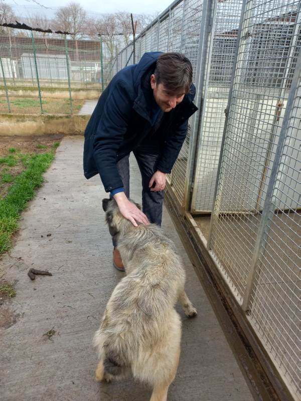 Cuccioli_San_Casciano_Val_di_pesa (1)