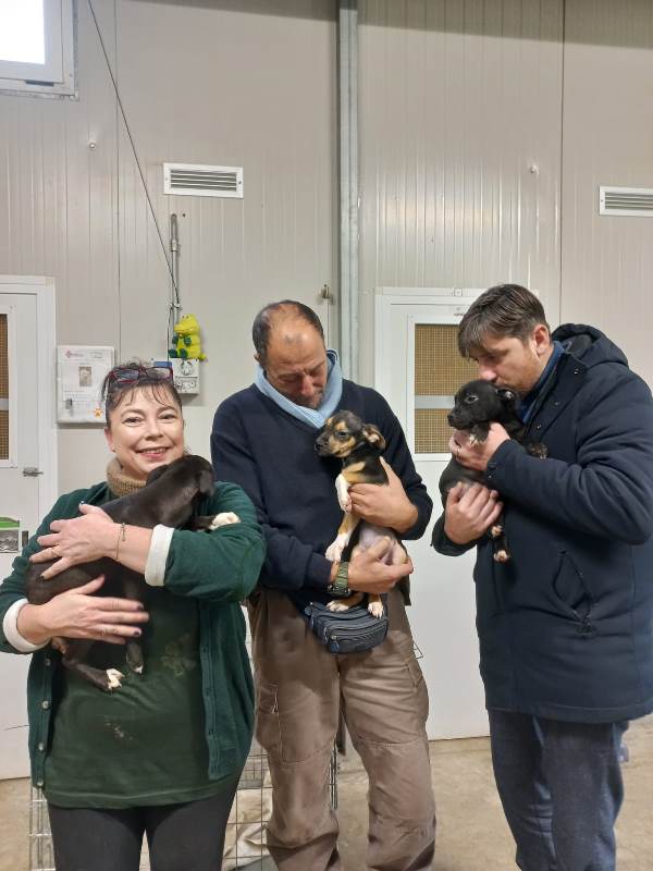 Cuccioli_San_Casciano_Val_di_pesa (2)