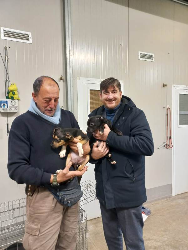 Cuccioli_San_Casciano_Val_di_pesa (3)