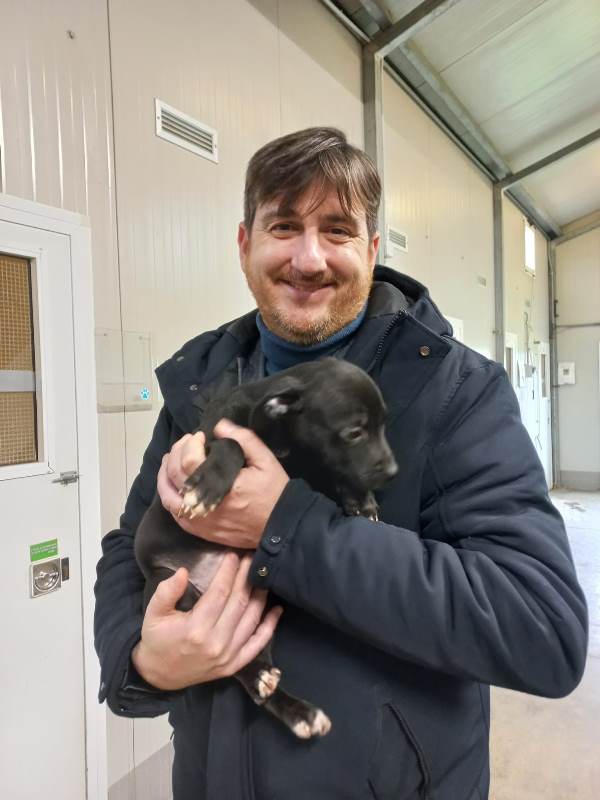 Cuccioli_San_Casciano_Val_di_pesa (5)