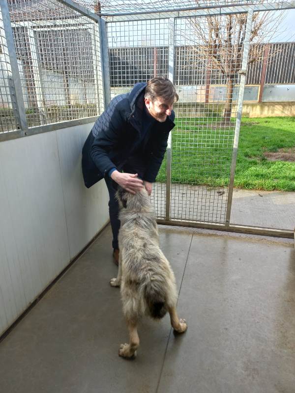 Cuccioli_San_Casciano_Val_di_pesa (6)