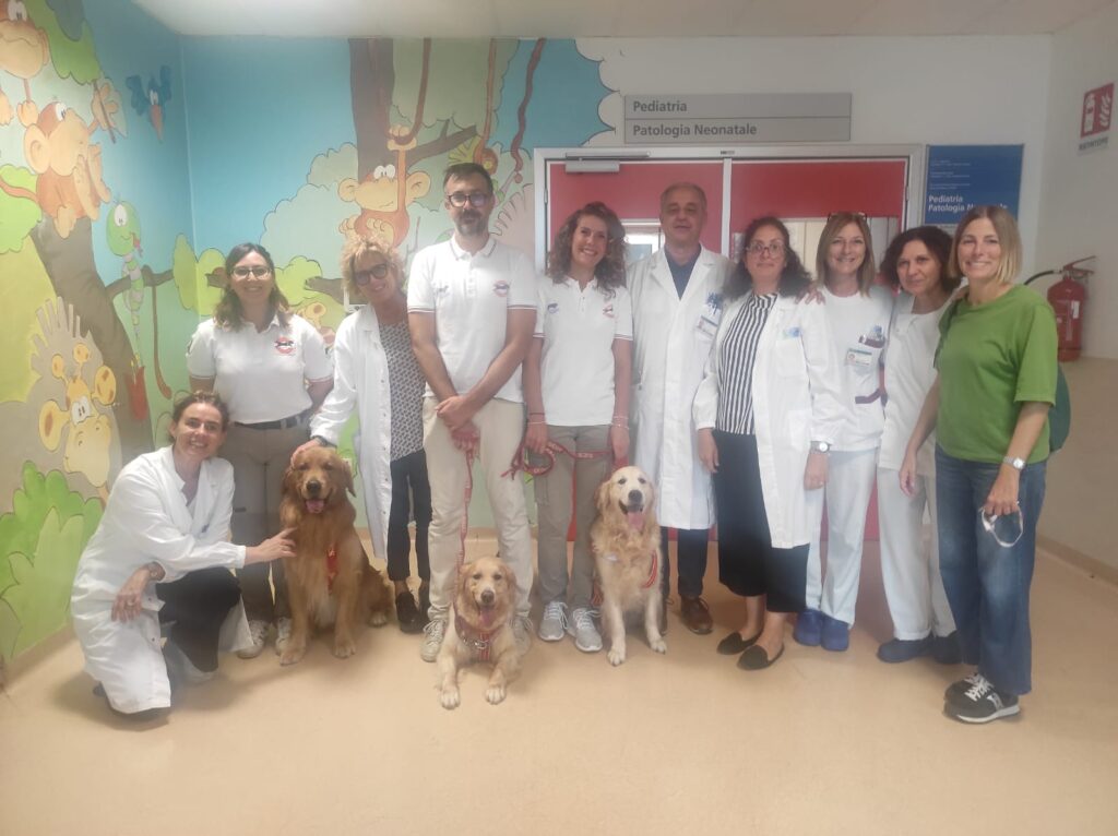 WhatsApp Image 2024-10-08 at 16.23.26