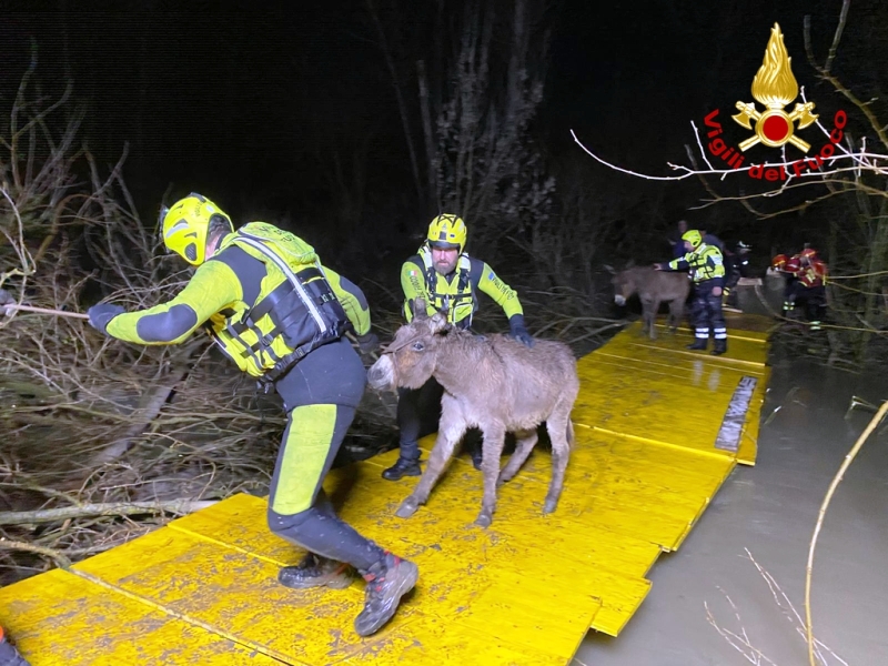 Immagine WhatsApp 2025-03-13 ore 21.45.04_3e35869e