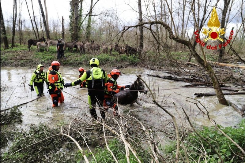 Immagine WhatsApp 2025-03-13 ore 21.45.04_b714e867