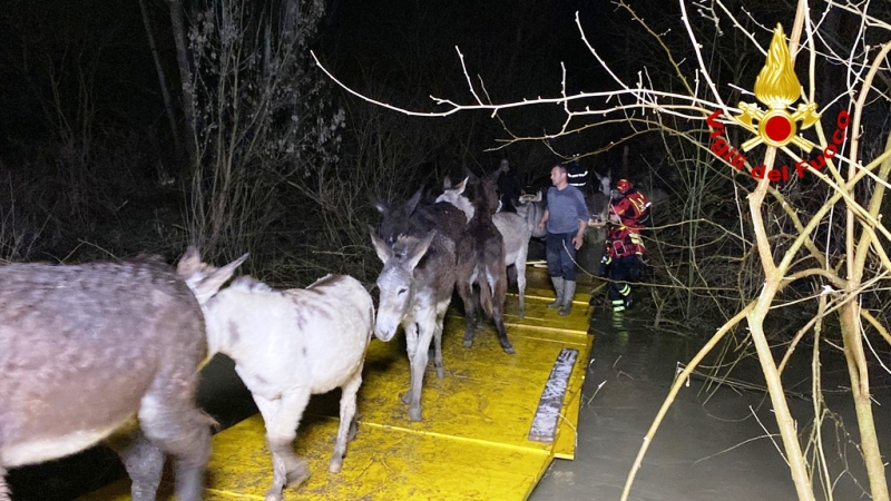 Immagine WhatsApp 2025-03-13 ore 21.45.05_cccb3553