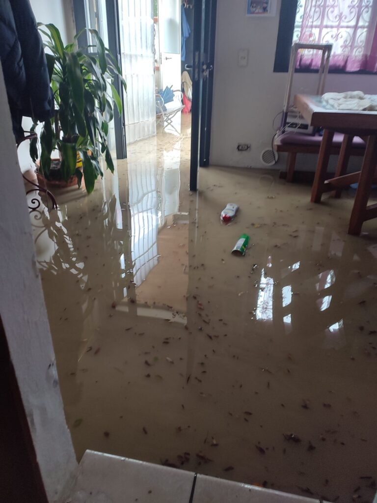 a35d8a8b-de99-4c0a-86a0-924a28bb78e5