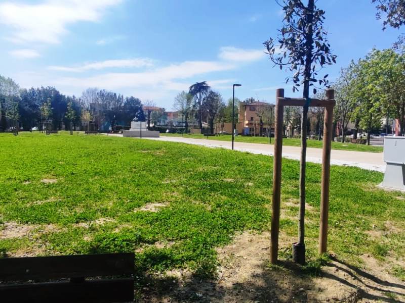 castelfranco_piazza garibaldi (2)