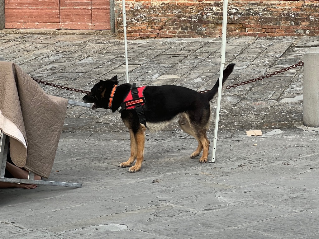 Giornata-protezione-24.05.25-26