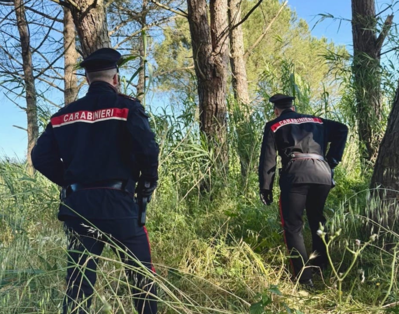 Controlli dei carabinieri alle Cerbaie