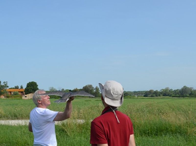 Università_di_Pisa_robot_falcon (1)