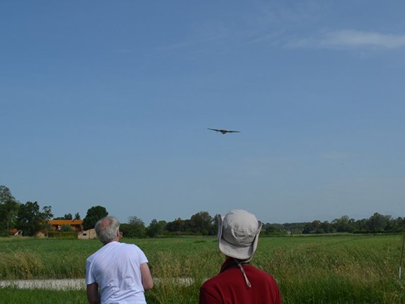 Università_di_Pisa_robot_falcon (3)