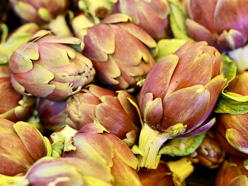 carcioafo_empolese_2025 (2)